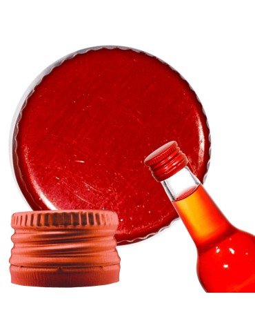 Pokrywka dekiel zakrętka nakrętka wieczko wieko 28mm 1 szt WZÓR R PZH