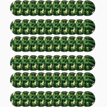 Zakrętki do słoików dekielki pokrywki nakrętki wieczka 100mm 60 szt WZÓR O