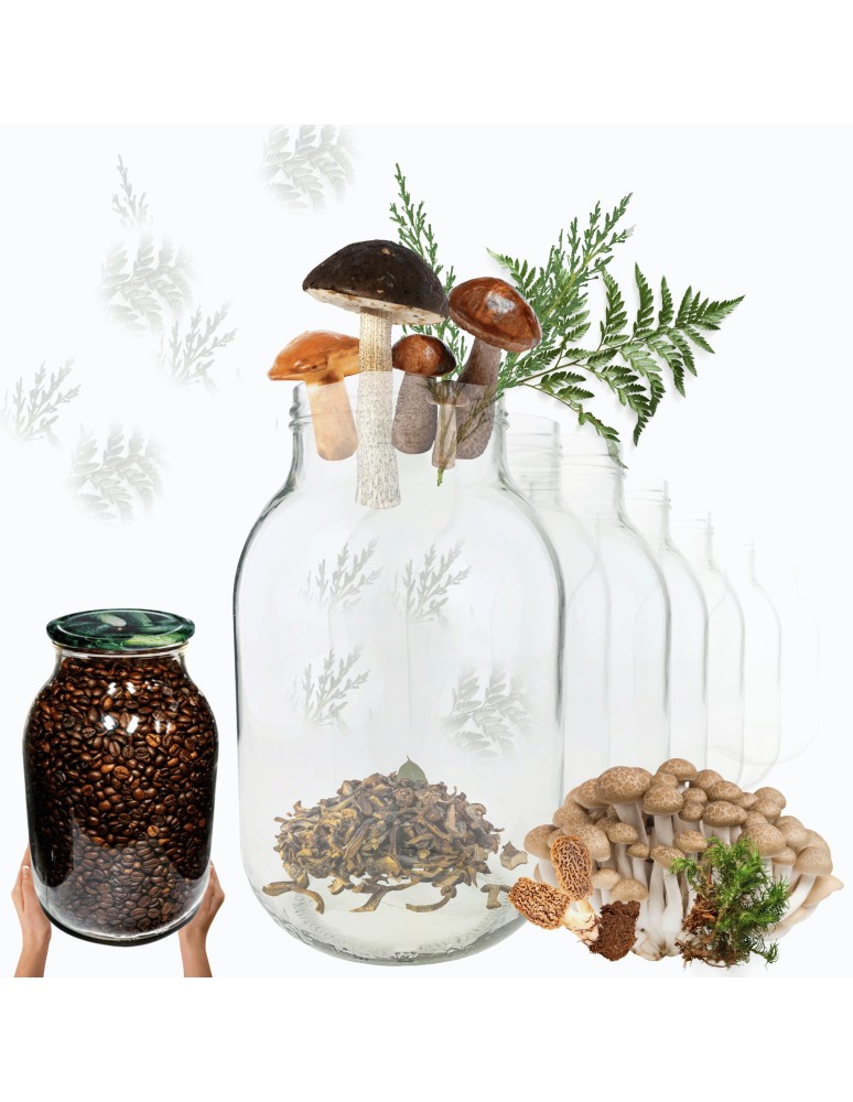 Słoiki - Słoiki 4000ml 4l na ogórki soki cukinia grzyby nalewki 60sztuk 100mm PZH - produkt MODO24.PL 1