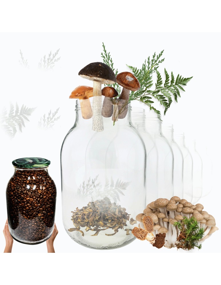 Słoiki - Słoiki 4000ml 4l na ogórki soki cukinia suszone grzyby nalewki 10szt. 100mm - produkt MODO24.PL 1