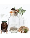 Słoiki 4000ml 4l na ogórki soki cukinia suszone grzyby nalewki 10szt. 100mm
