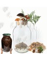 Słoiki 4000ml 4l na ogórki soki cukinia suszone grzyby nalewki 6szt. 100mm