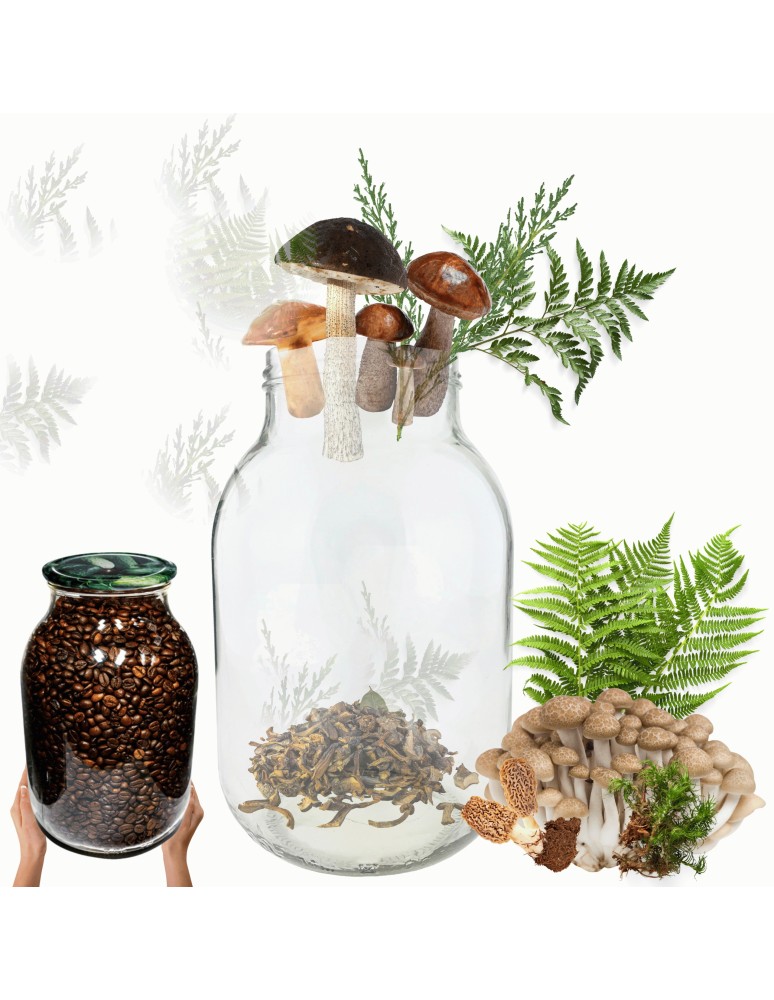 Słoiki - Słoik 4000ml 4l na ogórki soki cukinia suszone grzyby nalewki 1 sztuka 100mm - product MODO24.PL 1