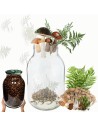 Słoik 4000ml 4l na ogórki soki cukinia suszone grzyby nalewki 1 sztuka 100mm