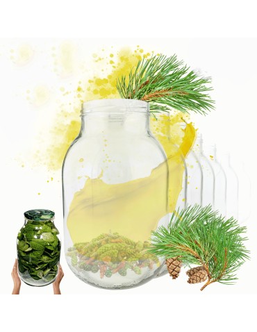 Słoiki 3000ml 3l na ogórki soki suszone grzyby nalewki 30sztuk 100mm PZH