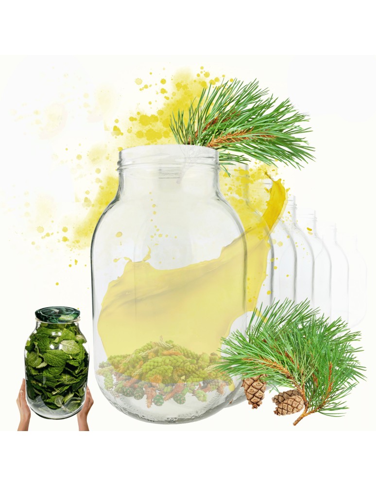 Słoiki - Słoiki 3000ml 3l na ogórki soki suszone grzyby nalewki 10sztuk 100mm PZH - produkt MODO24.PL 1