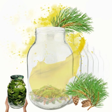 Słoiki 3000ml 3l na ogórki soki suszone grzyby nalewki 10sztuk 100mm PZH