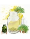 Słoiki 3000ml 3l na ogórki soki suszone grzyby nalewki 6sztuk 100mm PZH