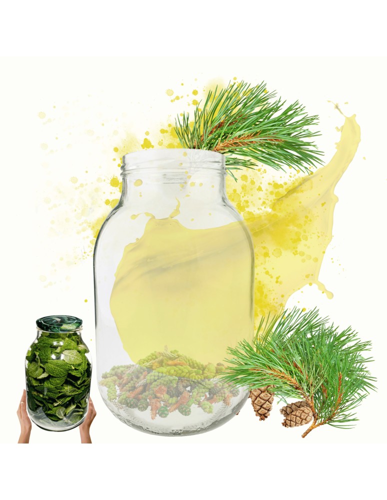 Słoiki - Słoik 3000ml 3l na ogórki soki suszone grzyby nalewki 1 sztuka 100mm PZH - produkt MODO24.PL 1