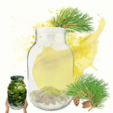 Słoik 3000ml 3l na ogórki soki suszone grzyby nalewki 1 sztuka 100mm PZH