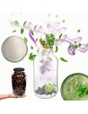 Słoik 2000ml 2l na ogórki soki suszone grzyby nalewki 1 sztuka 82mm PZH