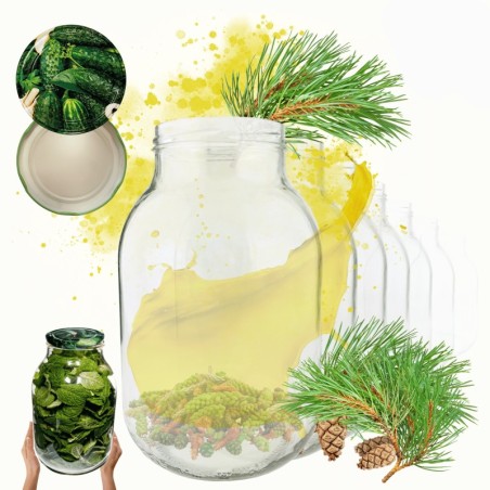 Słoiki 3000ml 3l na ogórki soki grzyby nalewki 6kpl zakrętki 100mm PZH