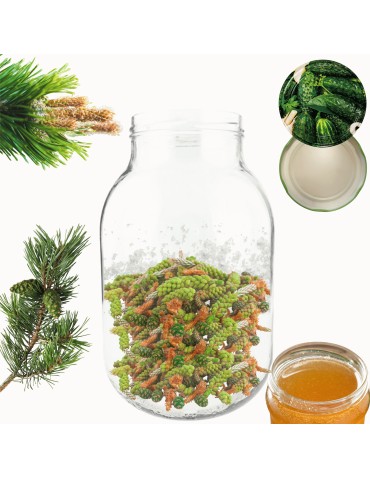 Słoiki - Słoik 4000ml 4l ogórki soki cukinia grzyby nalewki KOMPLET z POKRYWKĄ 100mm - produkt 14
