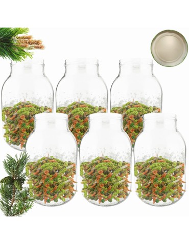 Słoiki - Słoiki 4000ml 4l na ogórki soki cukinia suszone grzyby nalewki 6szt. 100mm - product 14