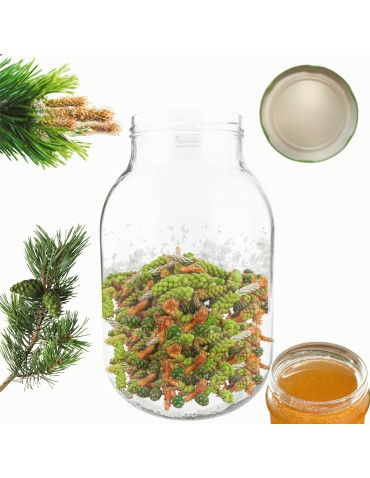 Słoiki - Słoik 4000ml 4l na ogórki soki cukinia suszone grzyby nalewki 1 sztuka 100mm - product 14