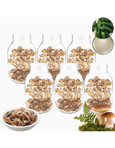 Słoiki - Słoiki 3000ml 3l na ogórki soki grzyby nalewki 6kpl zakrętki 100mm PZH - produkt 14