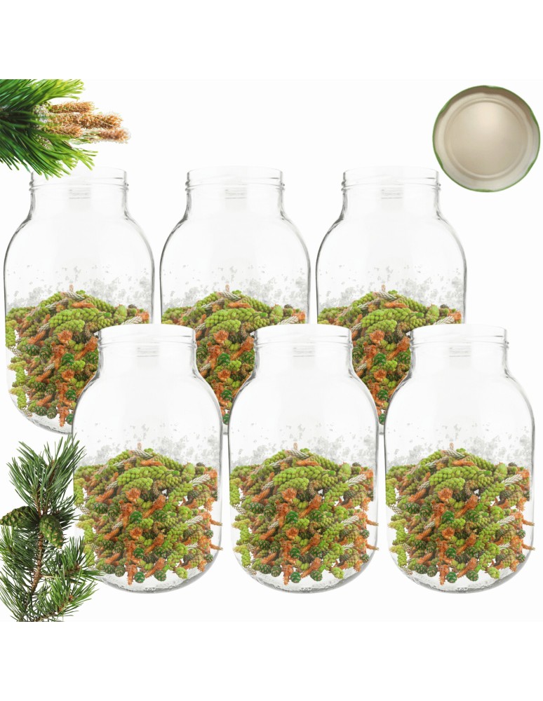 Słoiki - Słoiki 4000ml 4l na ogórki soki cukinia suszone grzyby nalewki 6szt. 100mm - product MODO24.PL 27