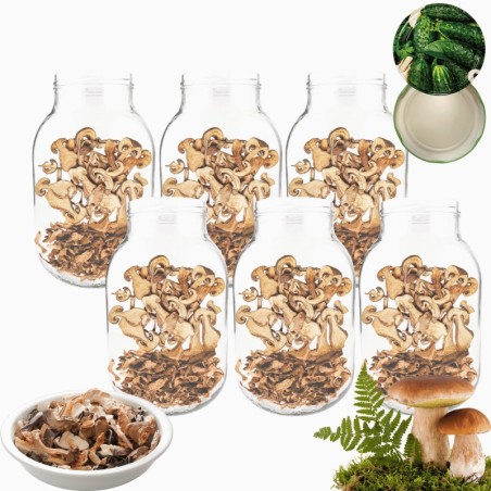 Słoiki 3000ml 3l na ogórki soki grzyby nalewki 6kpl zakrętki 100mm PZH