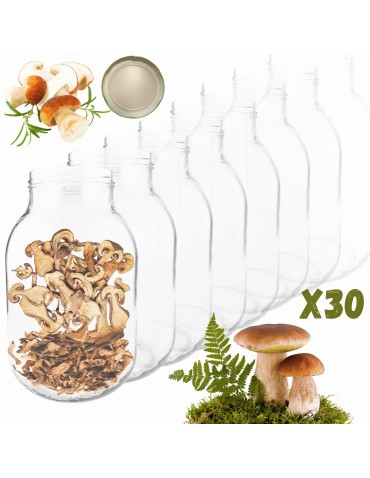 Słoiki - Słoiki 3000ml 3l na ogórki soki suszone grzyby nalewki 30sztuk 100mm PZH - product 14