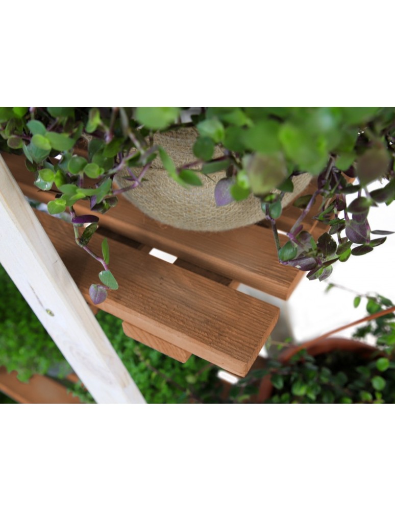 Kwietniki i donice - Stojak na kwiaty RP-01 biały-brąz - product MODO24.PL 3