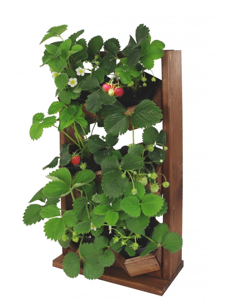 Kwietniki i donice - Ogród Wertykalny RD-8 2x3 12cm olcha - produkt MODO24.PL 1
