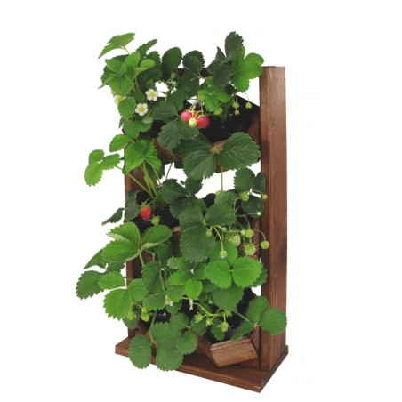 Ogród Wertykalny RD-8 2x3 12cm olcha