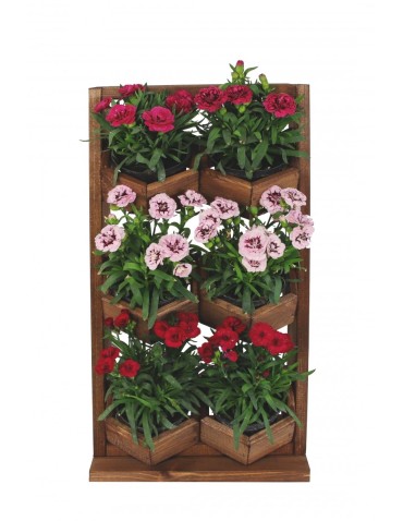 Kwietniki i donice - Ogród Wertykalny RD-8 2x3 12cm olcha - product 5