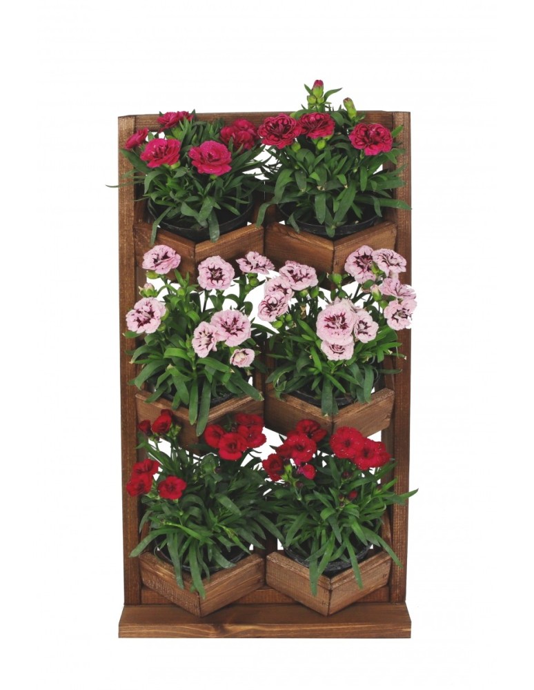 Kwietniki i donice - Ogród Wertykalny RD-8 2x3 12cm olcha - product MODO24.PL 5