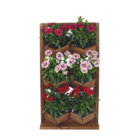 Ogród Wertykalny RD-8 2x3 12cm olcha