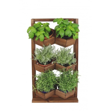 Ogród Wertykalny RD-8 2x3 12cm olcha