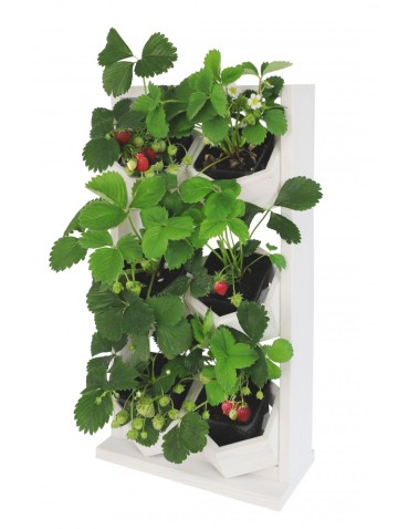 Kwietniki i donice - Ogród Wertykalny RD-8 2x3 12cm biały - product 7