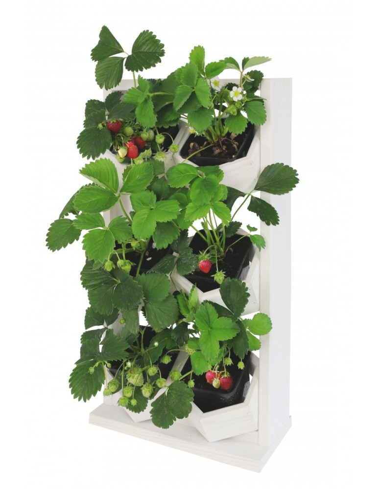 Kwietniki i donice - Ogród Wertykalny RD-8 2x3 12cm biały - product MODO24.PL 7