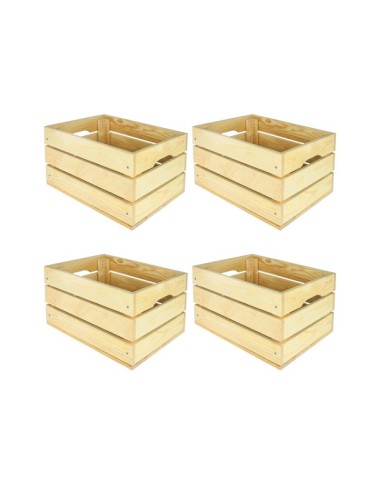 Zestaw 4 skrzynek surowych SD-3-40x30