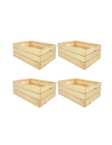 Zestaw 4 skrzynek surowych SD-3-60x40
