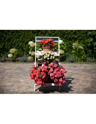 Stojak kaskadowy RDEZ w kolorze białym - wariant wysoki - product 2