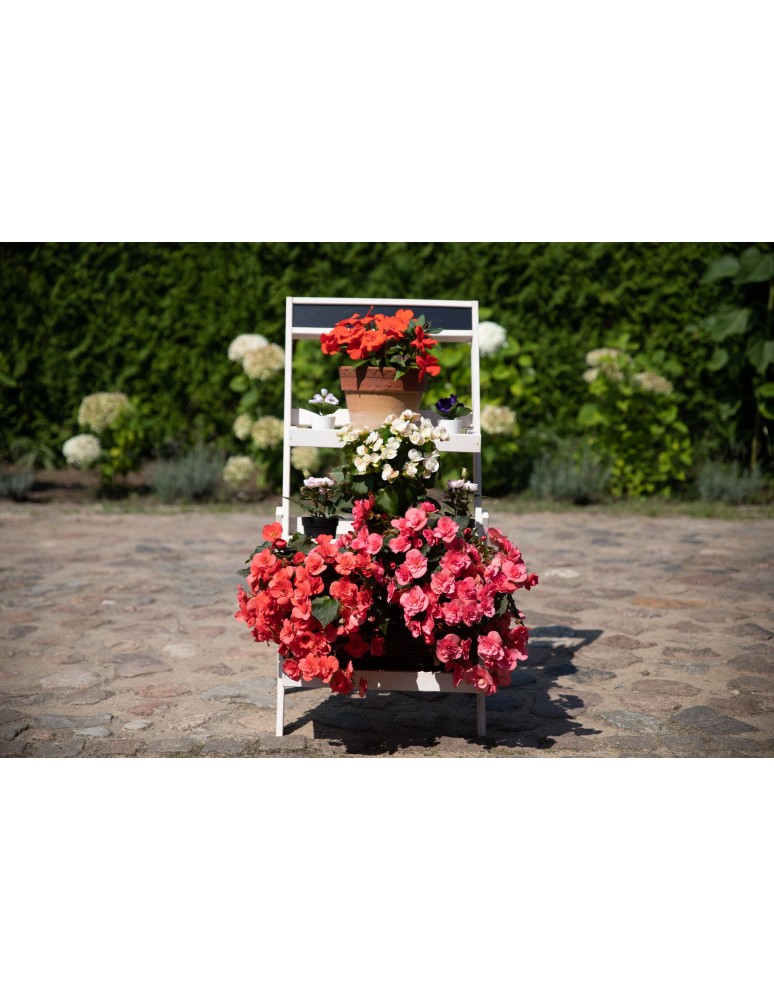 Kwietniki i donice - Stojak kaskadowy RDEZ w kolorze białym - wariant wysoki - product MODO24.PL 2