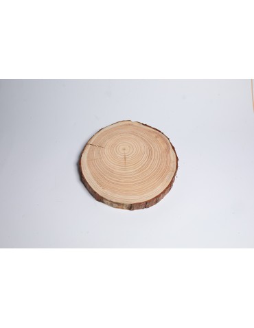 Plastry Okrągłe - Plaster drewna - fi 20-25 cm - Modrzew, gr 4,0 cm - product 3