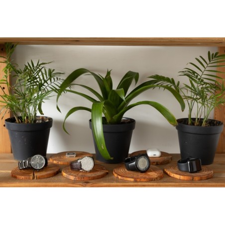 Plaster drewna - fi 20-25 cm - Modrzew, gr 2,5 cm