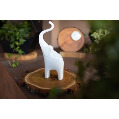 Plaster drewna - fi 15-20 cm - Dąb, gr 2,0 cm