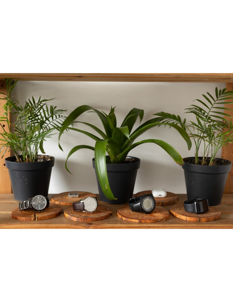 Plastry Okrągłe - Plaster drewna - fi 20-25 cm - Dąb, gr 2,0 cm - product MODO24.PL 5