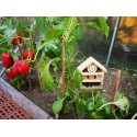 Domek dla Owadów, Budka Lęgowa - REDUKCJA MSZYC