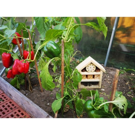 Domek dla Owadów, Budka Lęgowa - REDUKCJA MSZYC