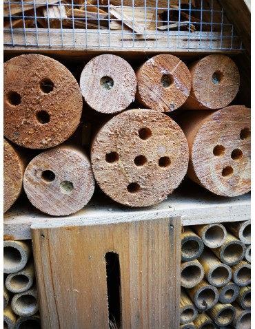 Hotele, Karmniki, Domki - Domek dla Owadów, Budka Lęgowa - REDUKCJA MSZYC - product 10