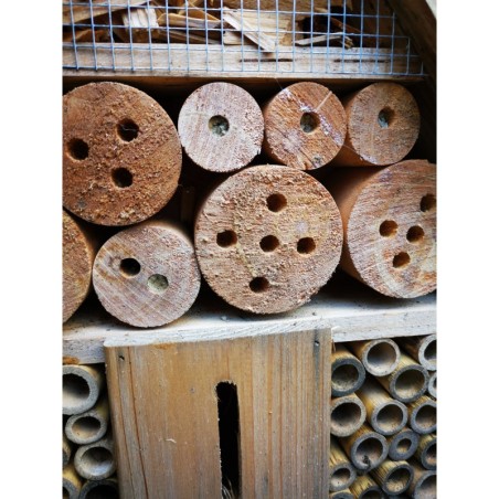 Domek dla Owadów, Budka Lęgowa - REDUKCJA MSZYC