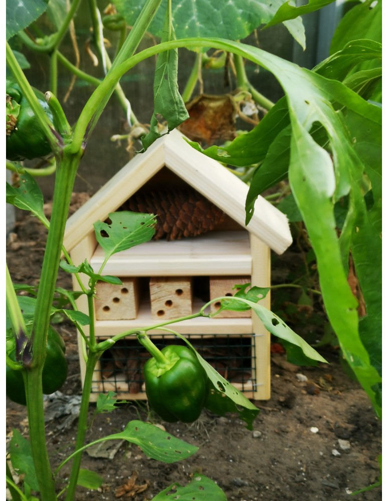 Hotele, Karmniki, Domki - Domek dla Owadów, Budka Lęgowa - REDUKCJA MSZYC - product MODO24.PL 11