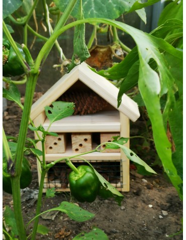 hotel dla owadów hotel dla owadów