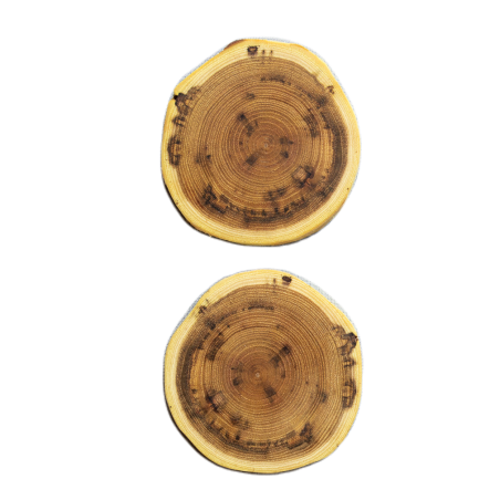 Akacjowe Podkładki Na Stół ⚛ Okorowane i Olejowane ⚛ ø 9-12 cm ⚛ 2 sztuki