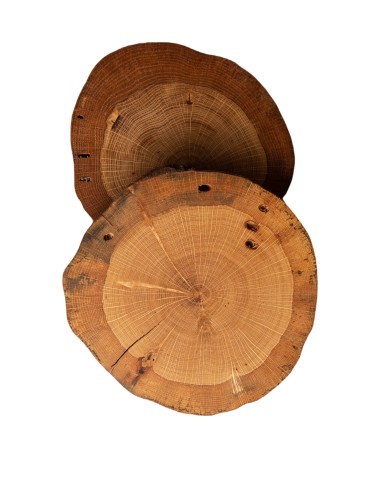 Zestawy Podkładek Na Stół - Dębowe Podkładki Na Stół ⚜ Okorowane ⚜ Olejowane ⚜ ø 9-12 cm ⚜ 2 sztuki - product 5