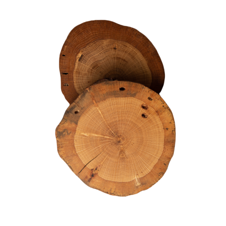 Dębowe Podkładki Na Stół ⚜ Okorowane ⚜ Olejowane ⚜ ø 9-12 cm ⚜ 2 sztuki