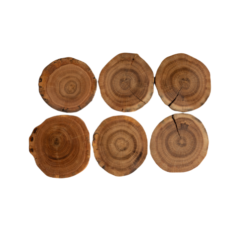 zestaw plastrów pod kubek